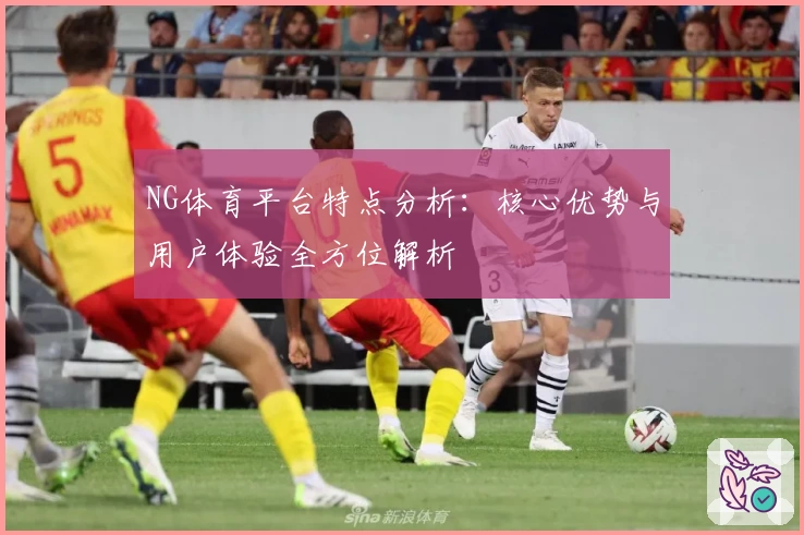 NG体育平台特点分析：核心优势与用户体验全方位解析