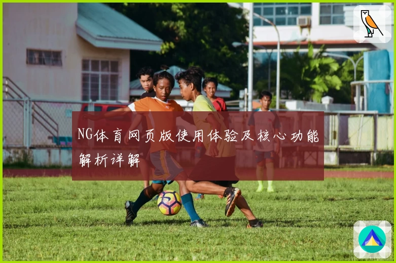 NG体育网页版使用体验及核心功能解析详解