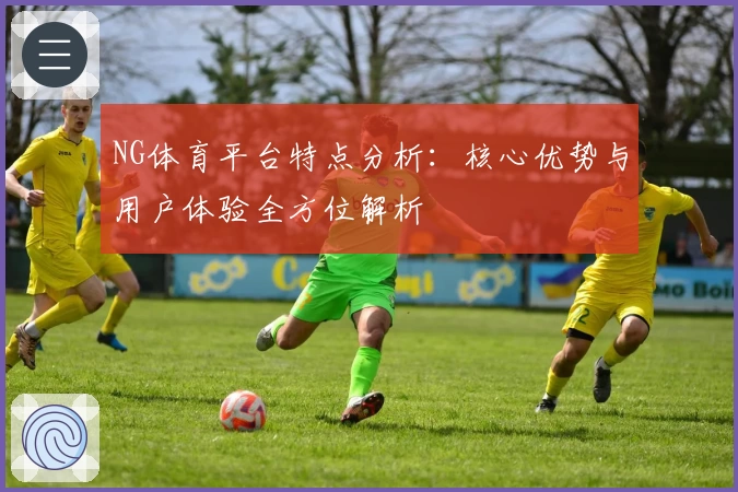 NG体育平台特点分析：核心优势与用户体验全方位解析