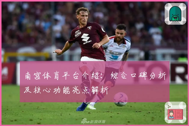 南宫体育平台介绍：综合口碑分析及核心功能亮点解析